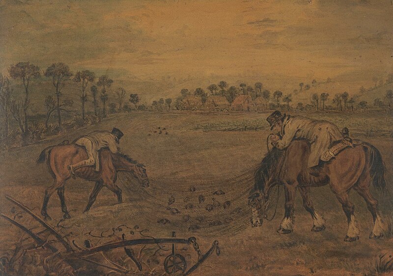 C. Blake (? - XIXe siècle) - photo 1